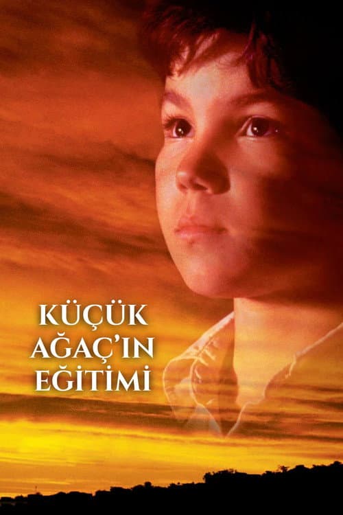 Küçük Ağaç'ın Eğitimi