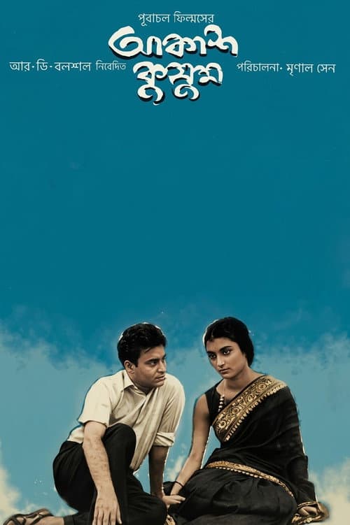 আকাশ কুসুম