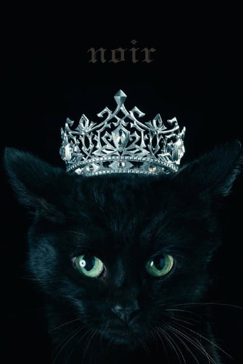 Aimer: Best Selection "noir" (Limited Edition Bonus)