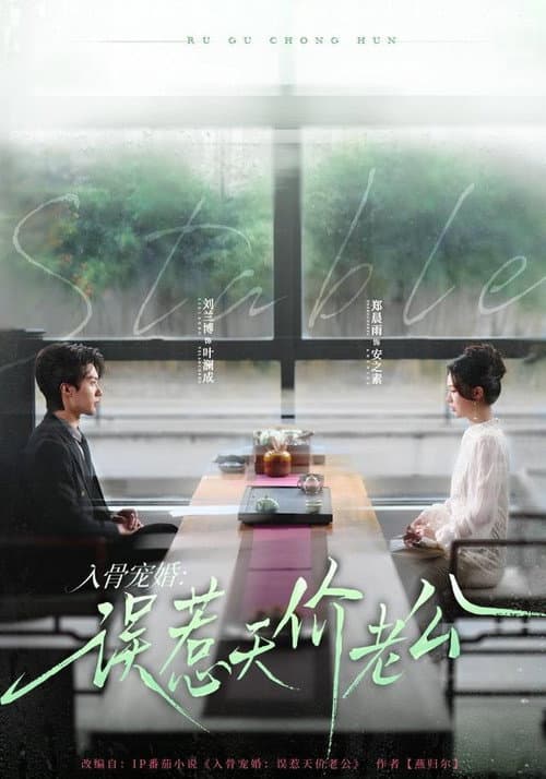 入骨宠婚：误惹天价老公