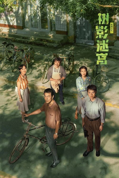 树影迷宫