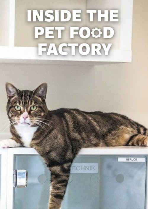 Inside the Pet Food Factory