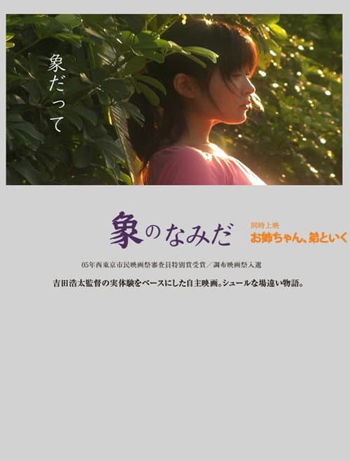 象のなみだ