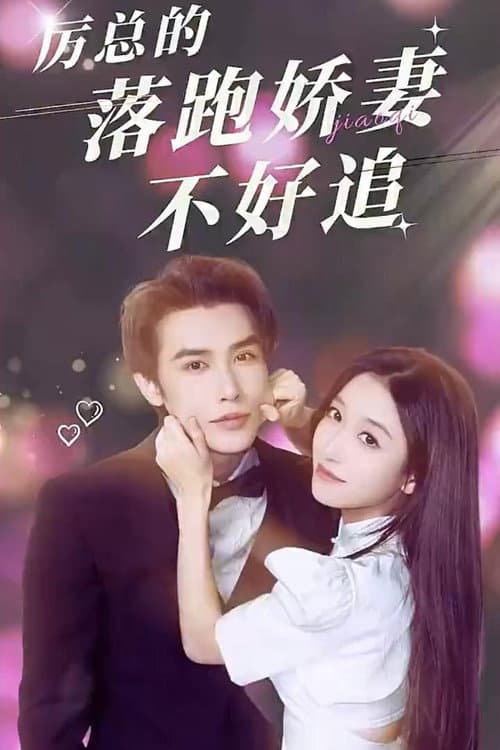 厉总的落跑娇妻不好追