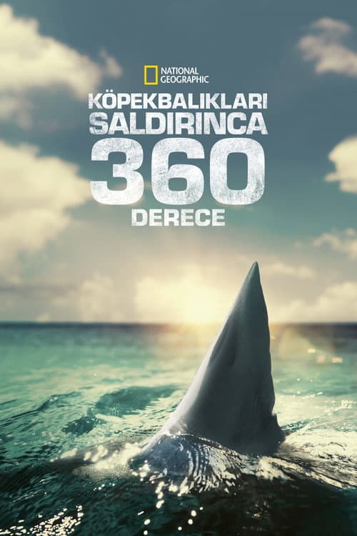 Köpekbalıkları Saldırınca 360 Derece