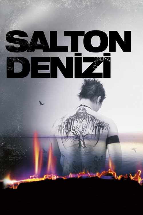 Salton Denizi