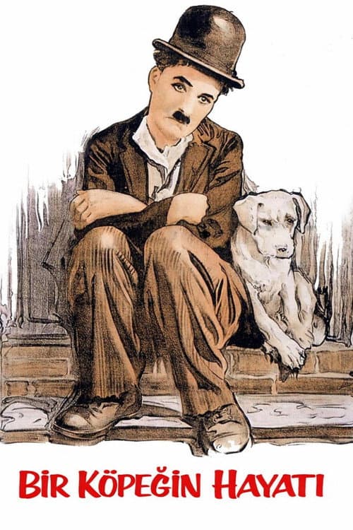 Bir Köpeğin Hayatı