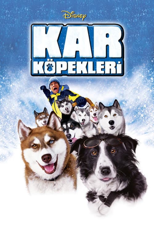 Kar Köpekleri