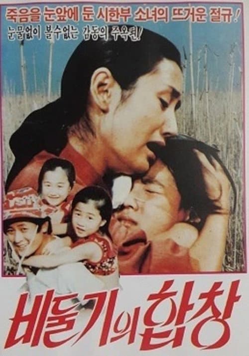 비둘기의 합창