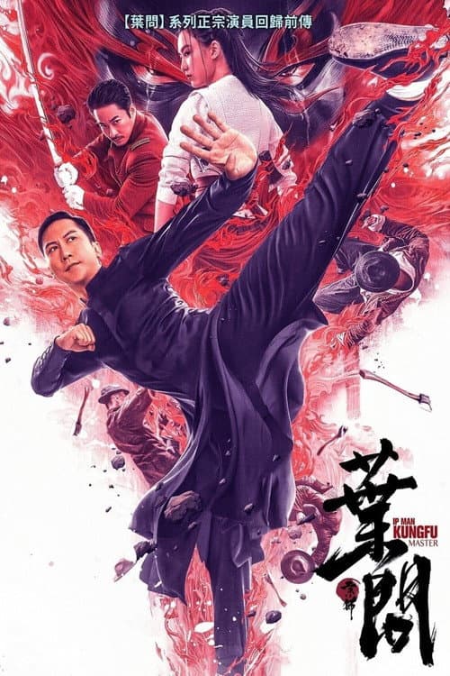 Ip Man: Kung Fu Ustası