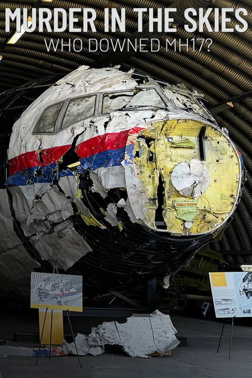 Gökyüzünde Facia: MH17'yi Kim Düşürdü?