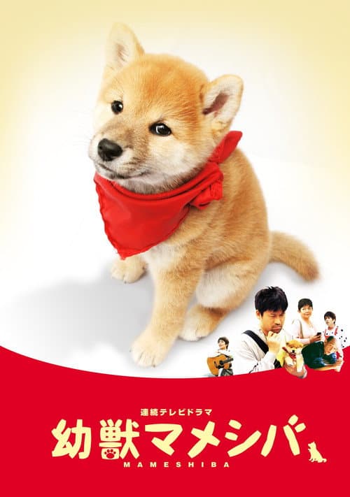 幼獣マメシバ