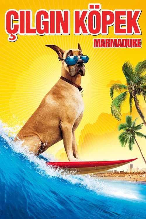 Çılgın Köpek