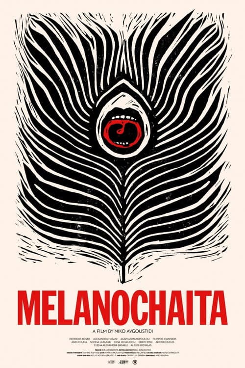 Melanochaita