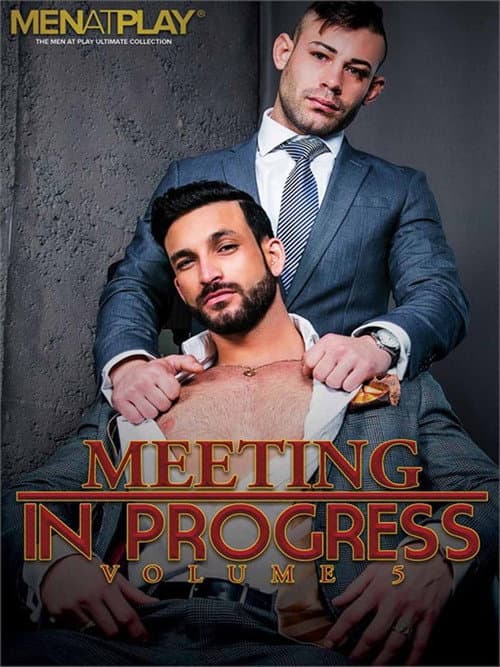 Meeting in Progress 5