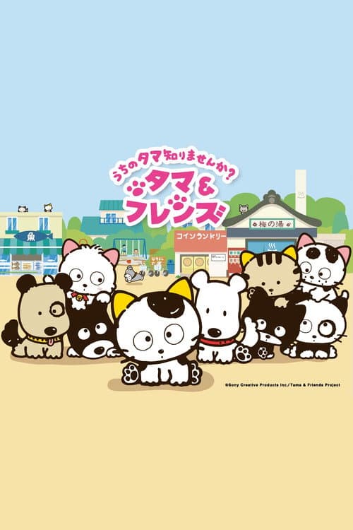 タマ&フレンズ うちのタマ知りませんか?