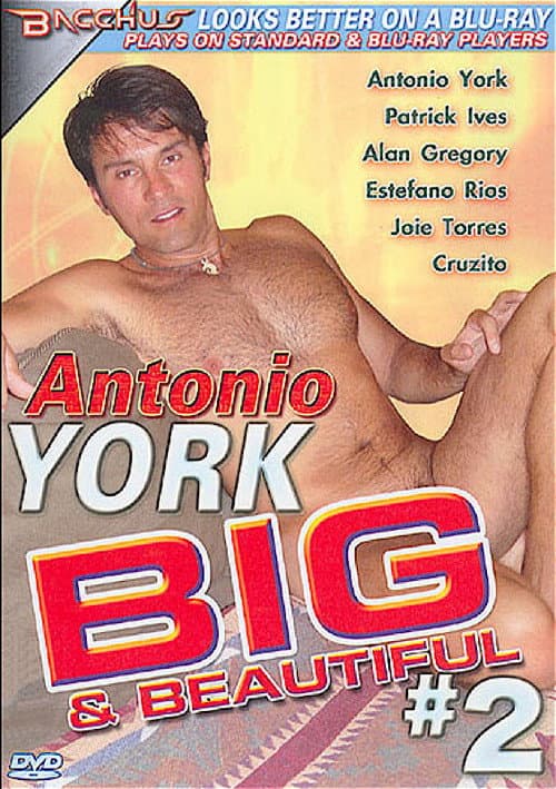 Antonio York: Big & Beautiful 2