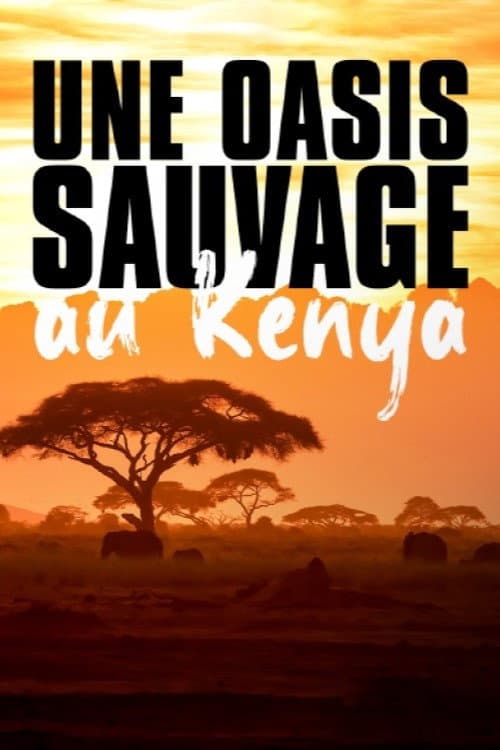Kenia - Eine Oase im Sand