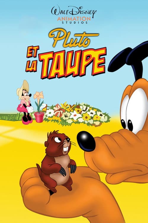 Pluto ve Sincap