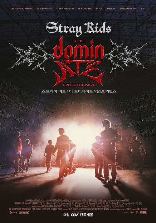 Stray Kids: The dominATE Deneyimi