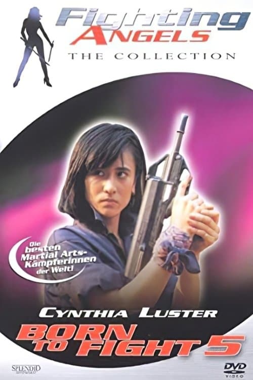 Son Koşu