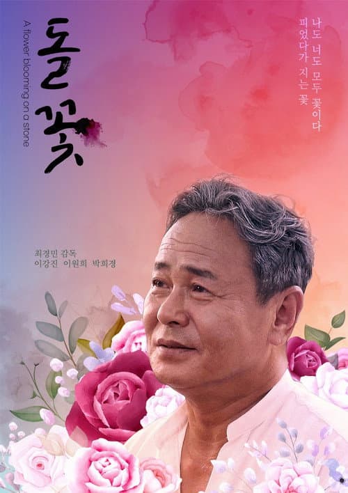 돌꽃
