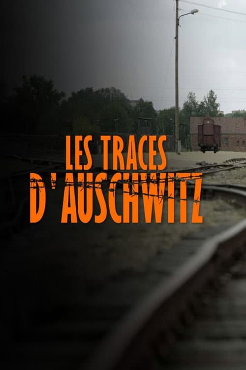 Les Traces D'Auschwitz (2021)