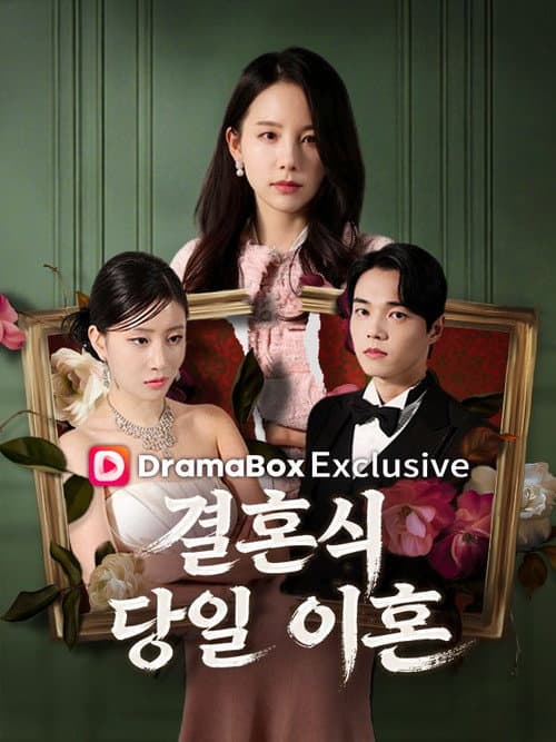 결혼식 당일 이혼
