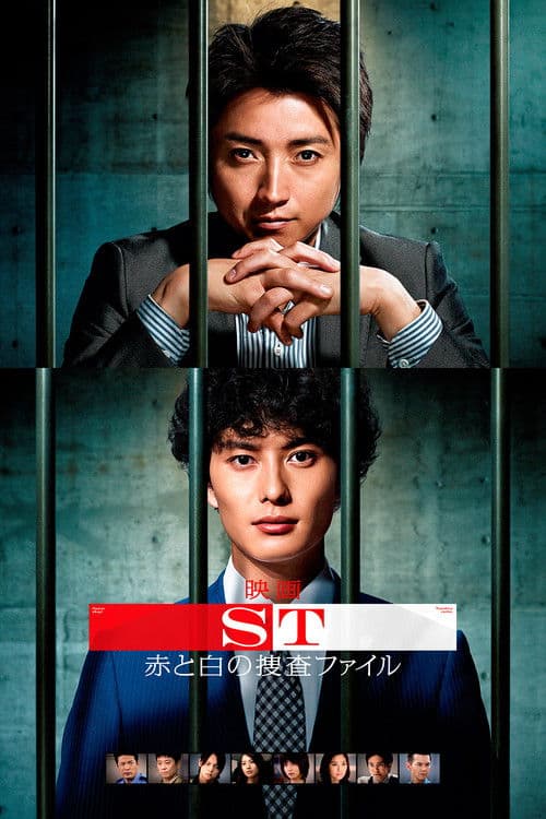 映画 ST 赤と白の捜査ファイル