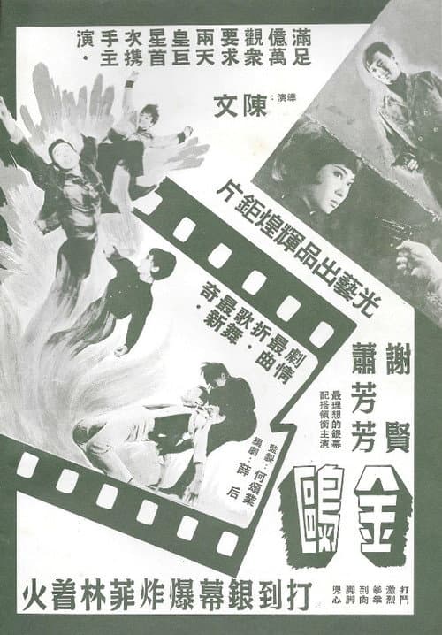 金鷗