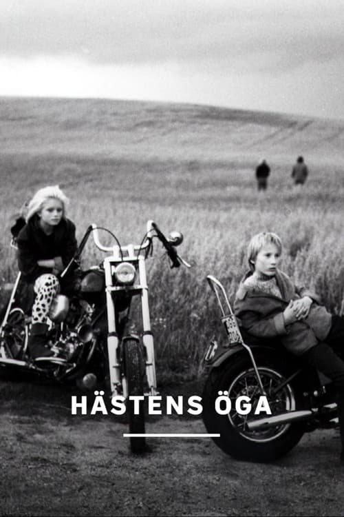 Hästens öga