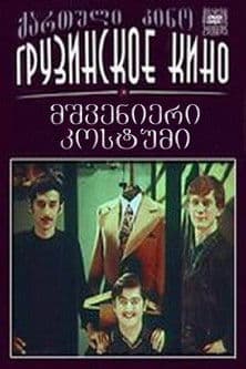 მშვენიერი კოსტუმი