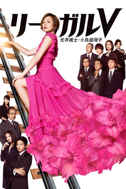リーガルV～元弁護士・小鳥遊翔子～