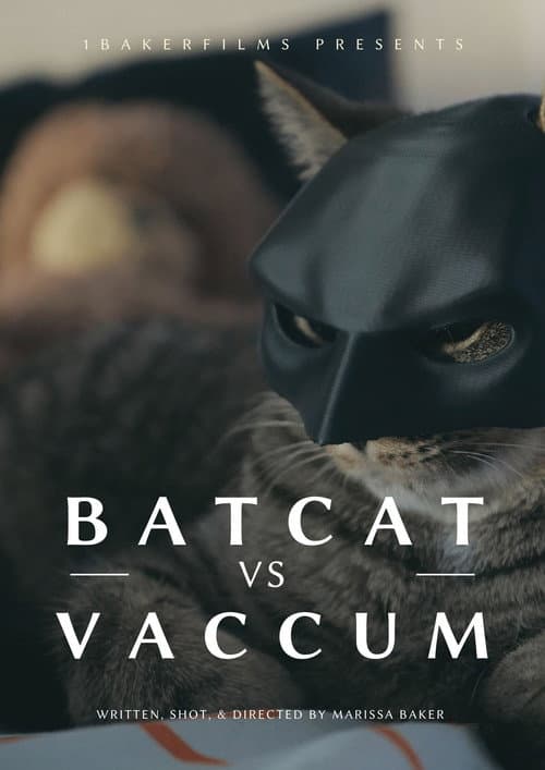 BatCat vs Vacuum