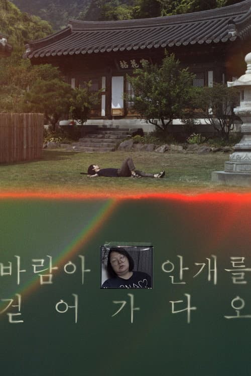 바람아 안개를 걷어가다오