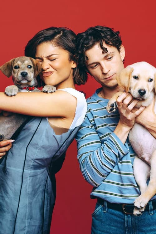 Celebs Play With Puppies & Kittens