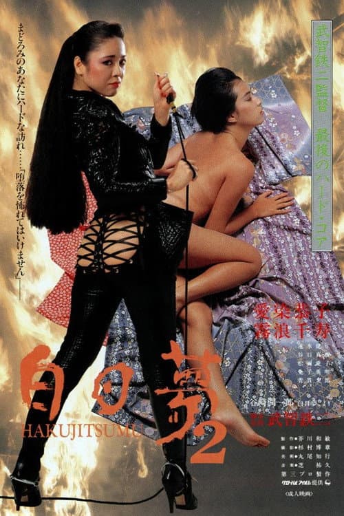 白日夢2