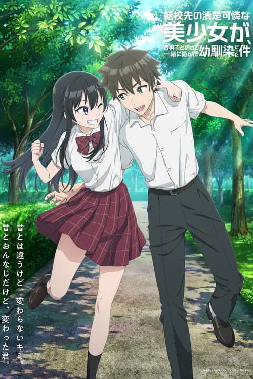 転校先の清楚可憐な美少女が、昔男子と思って一緒に遊んだ幼馴染だった件