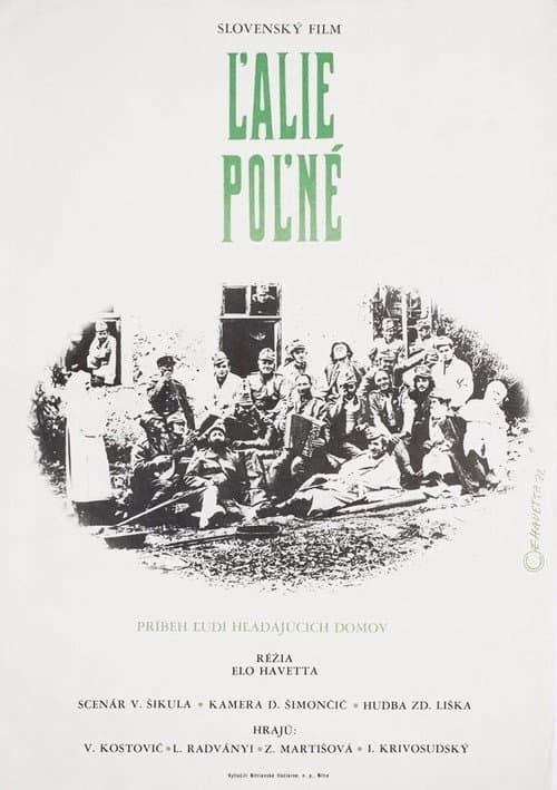 Ľalie poľné