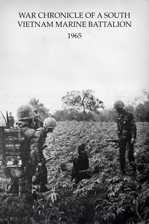 南ベトナム海兵大隊戦記