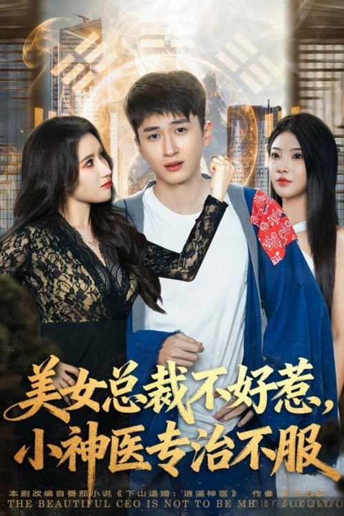 美女总裁不好惹，小神医专治不服