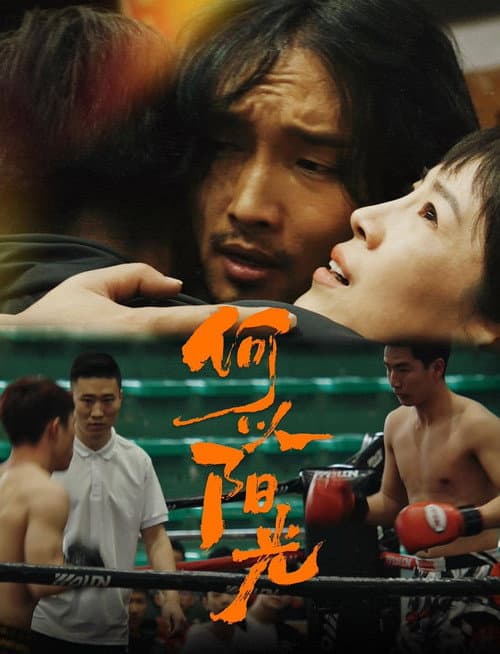 何以阳光