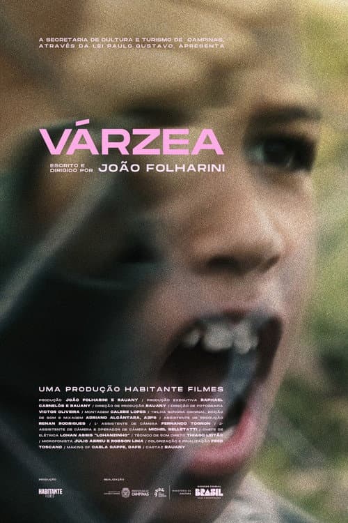 Várzea