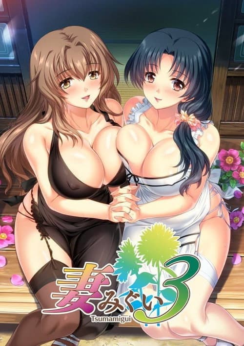 妻みぐい THE ANIMATION