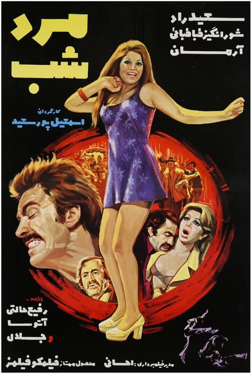 مرد شب
