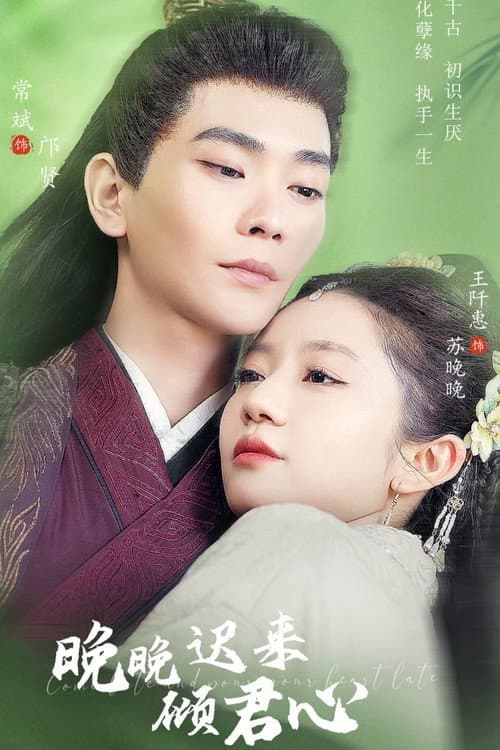 晚晚迟来倾君心