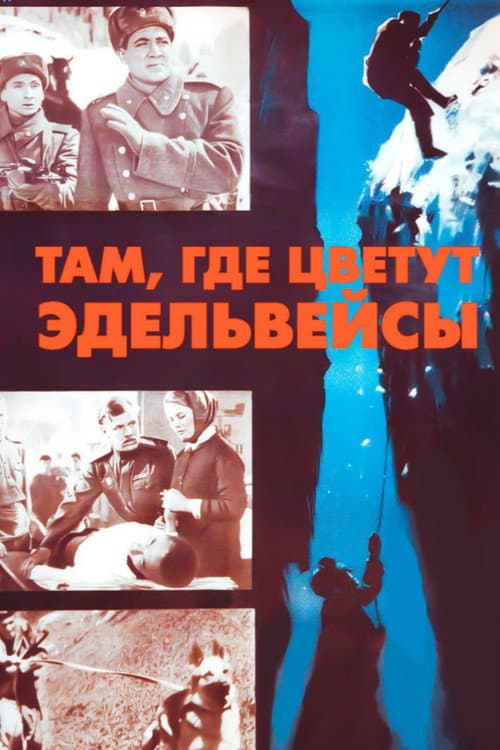 Там, где цветут эдельвейсы