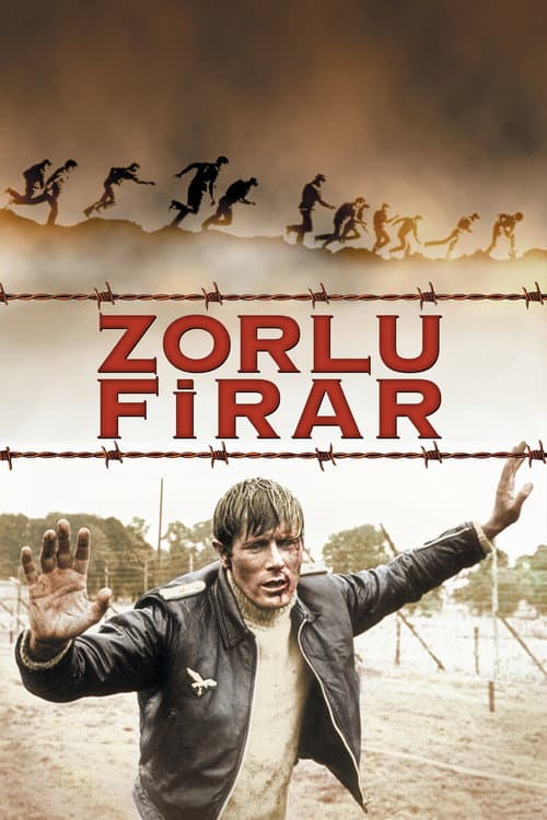 Zorlu Firar