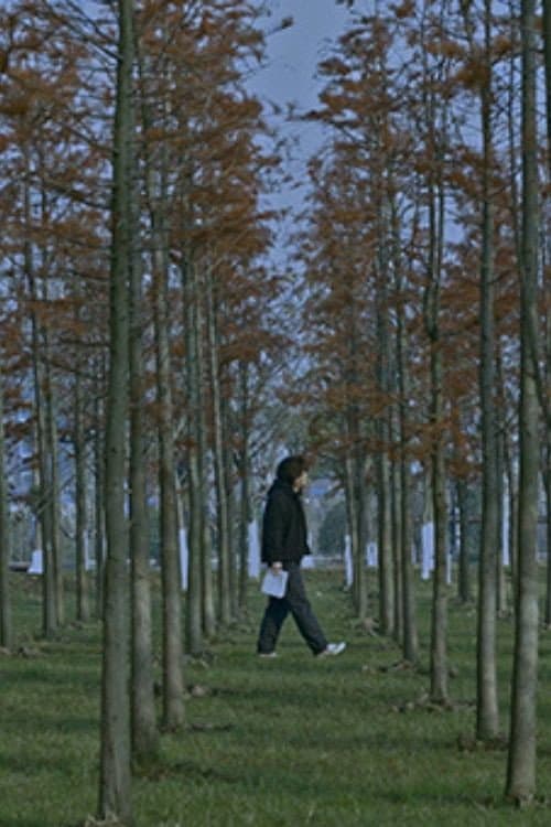 五里霧中