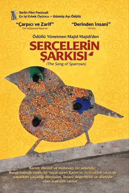 Serçelerin Şarkısı